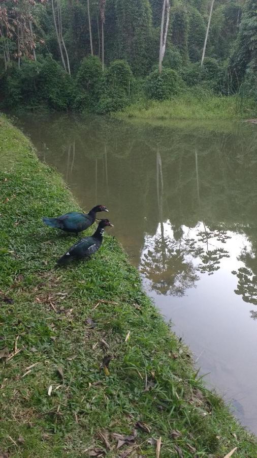 Casa De Campo Rosa Dos Ventos Rodeio المظهر الخارجي الصورة