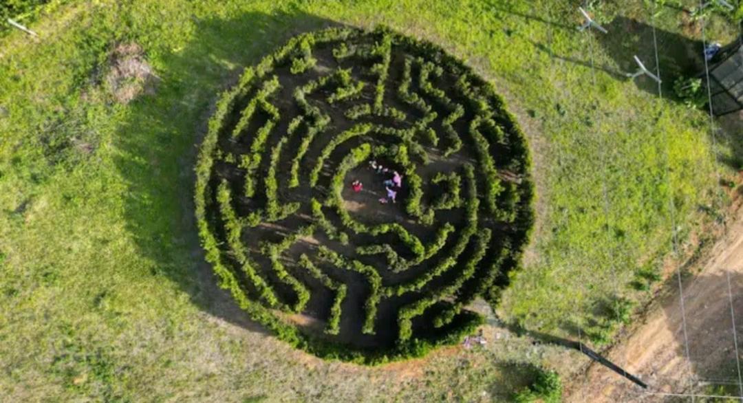 Casa De Campo Rosa Dos Ventos Rodeio المظهر الخارجي الصورة